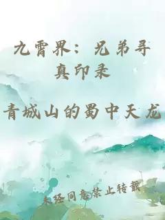 九霄界：兄弟寻真印录