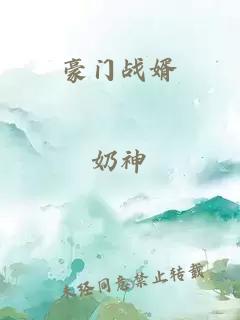 豪门战婿