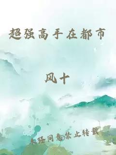 超强高手在都市